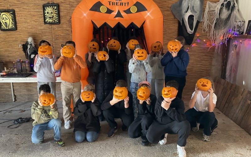 Kürbisschnitzen mit der 621